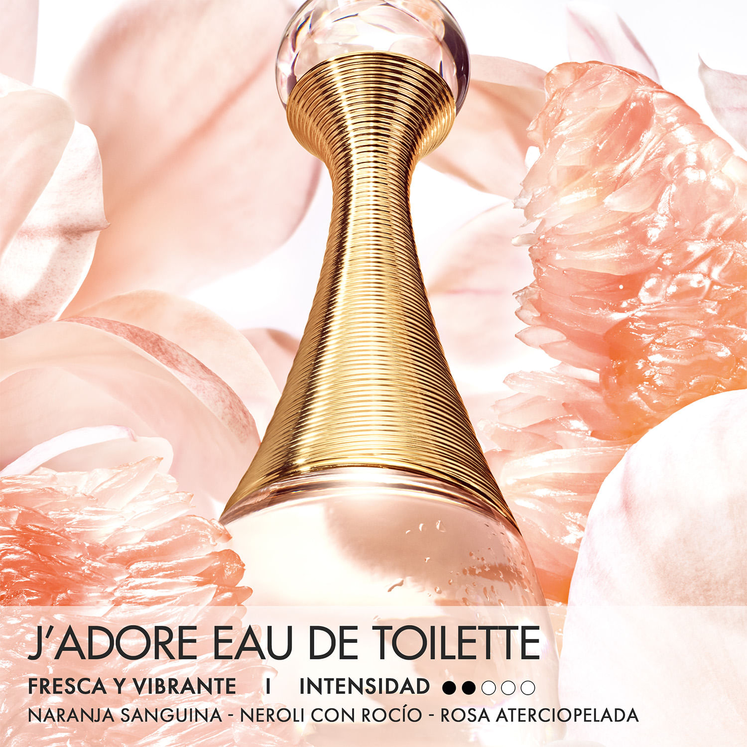 DIOR J'ADORE EAU DE TOILETTE | Faces Colombia